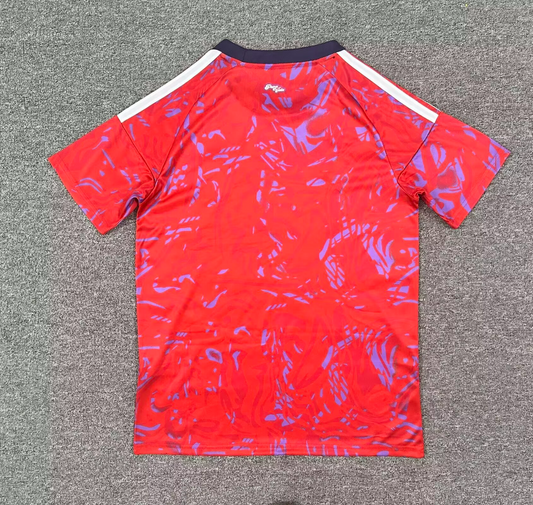 Costa Rica 2025/26 Home Kit