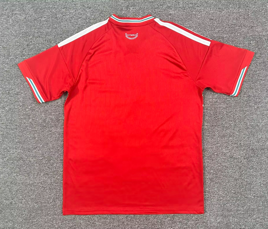 Wales 2025/26 Home Kit