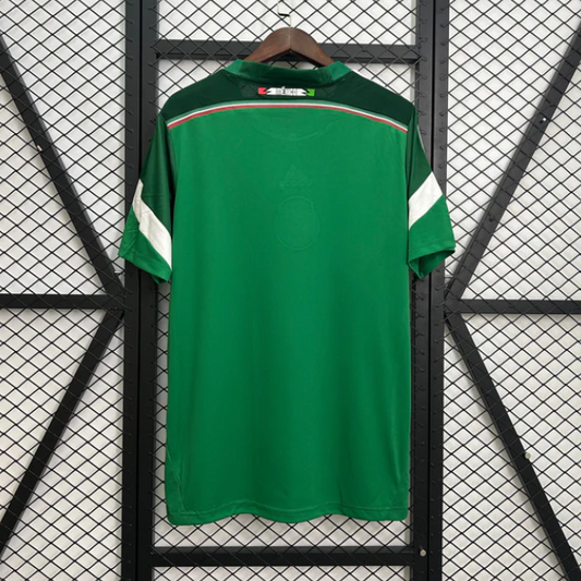 Mexico 2014 Home Kit