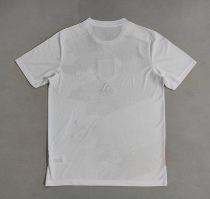 Japan Pokémon Special Edition Kit